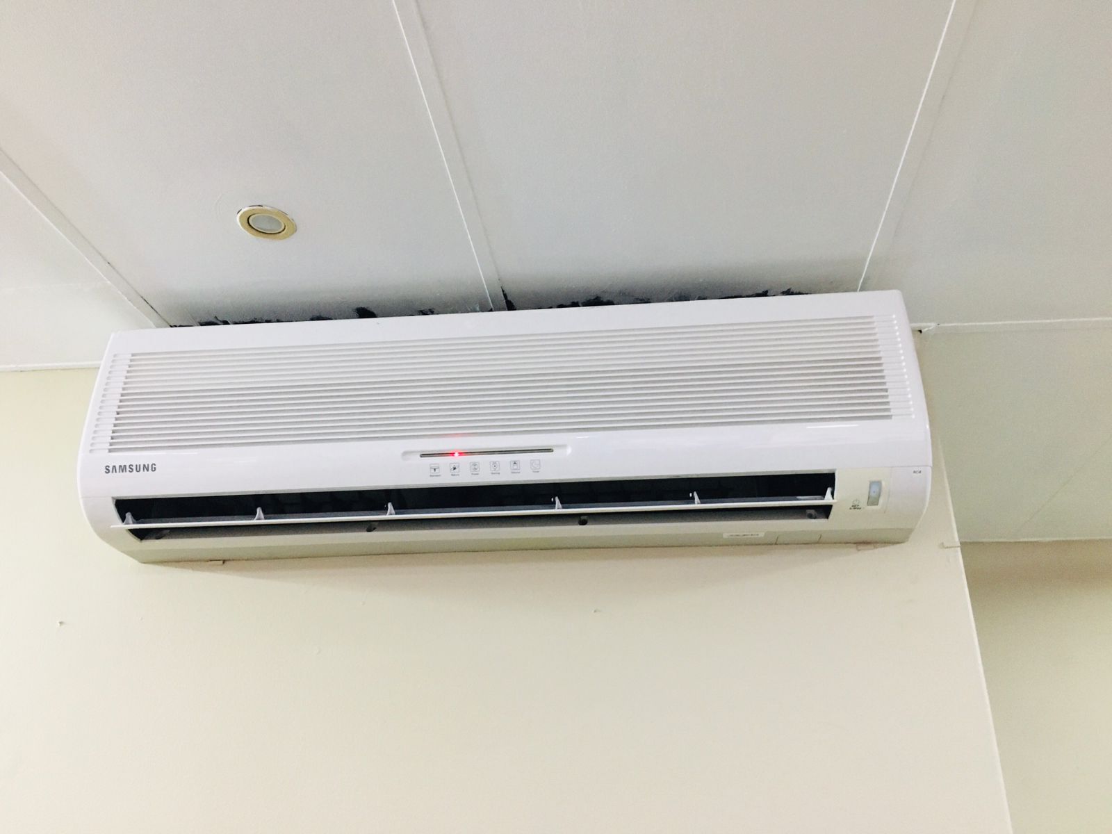 WhatsApp Image 2024-12-23 at 8.23.29 PM